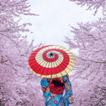 Why Japan’s Hidden Villages Are 2025’s Top Destination