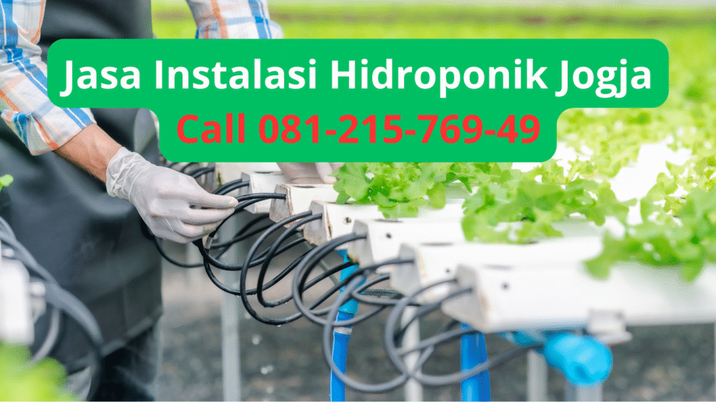 Jasa Instalasi Hidroponik Jogja | Solusi Bercocok Tanam Modern di Lahan Terbatas