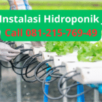 Jasa Instalasi Hidroponik Jogja | Solusi Bercocok Tanam Modern di Lahan Terbatas