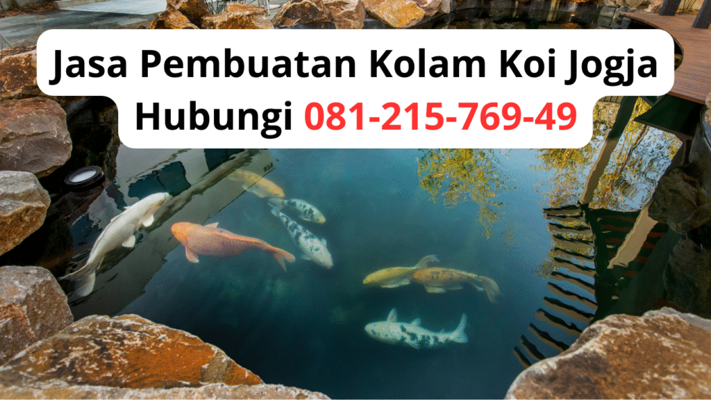 Jasa Pembuatan Kolam Koi Jogja | Hubungi 081-215-769-49