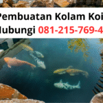 Jasa Pembuatan Kolam Koi Jogja | Hubungi 081-215-769-49