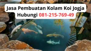 Jasa Pembuatan Kolam Koi Jogja | Hubungi 081-215-769-49