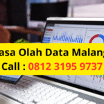 Jasa Olah Data Malang Call : 0812 3195 9737