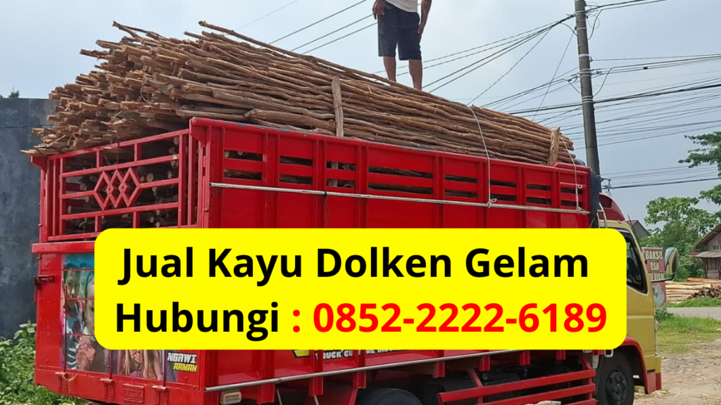 Jual Kayu Dolken Gelam Murah Cikarang Pusat Penjualan & Supplier Utama untuk Kebutuhan Industri dan Konstruksi