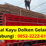 Jual Kayu Dolken Gelam Murah Cikarang Pusat Penjualan & Supplier Utama untuk Kebutuhan Industri dan Konstruksi