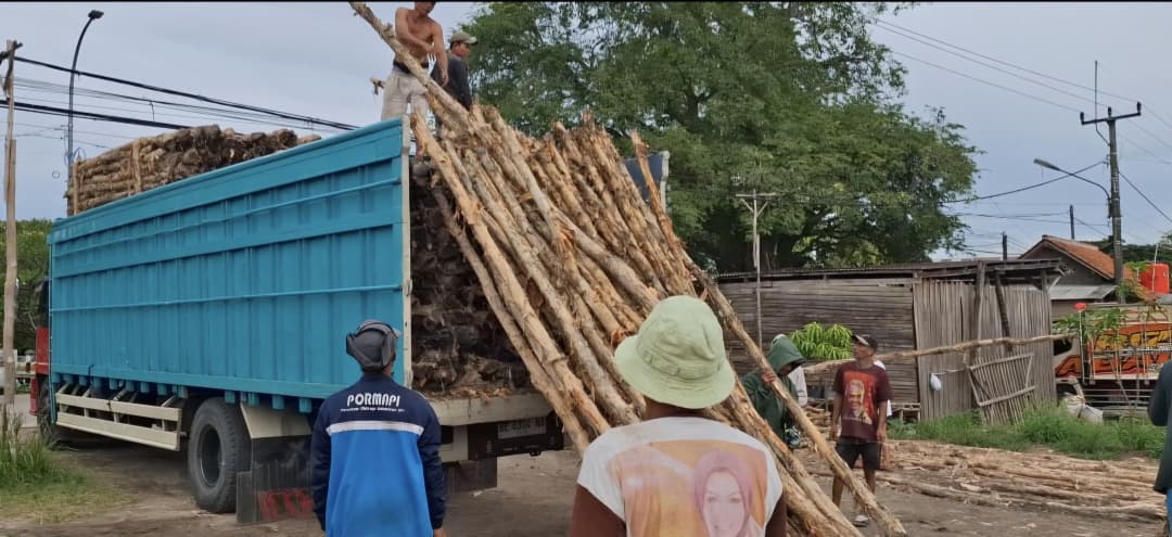 Jual Kayu Dolken Gelam Murah Kendal – Supplier, Grosir, Distributor & Pusat Penjualan Terpercaya