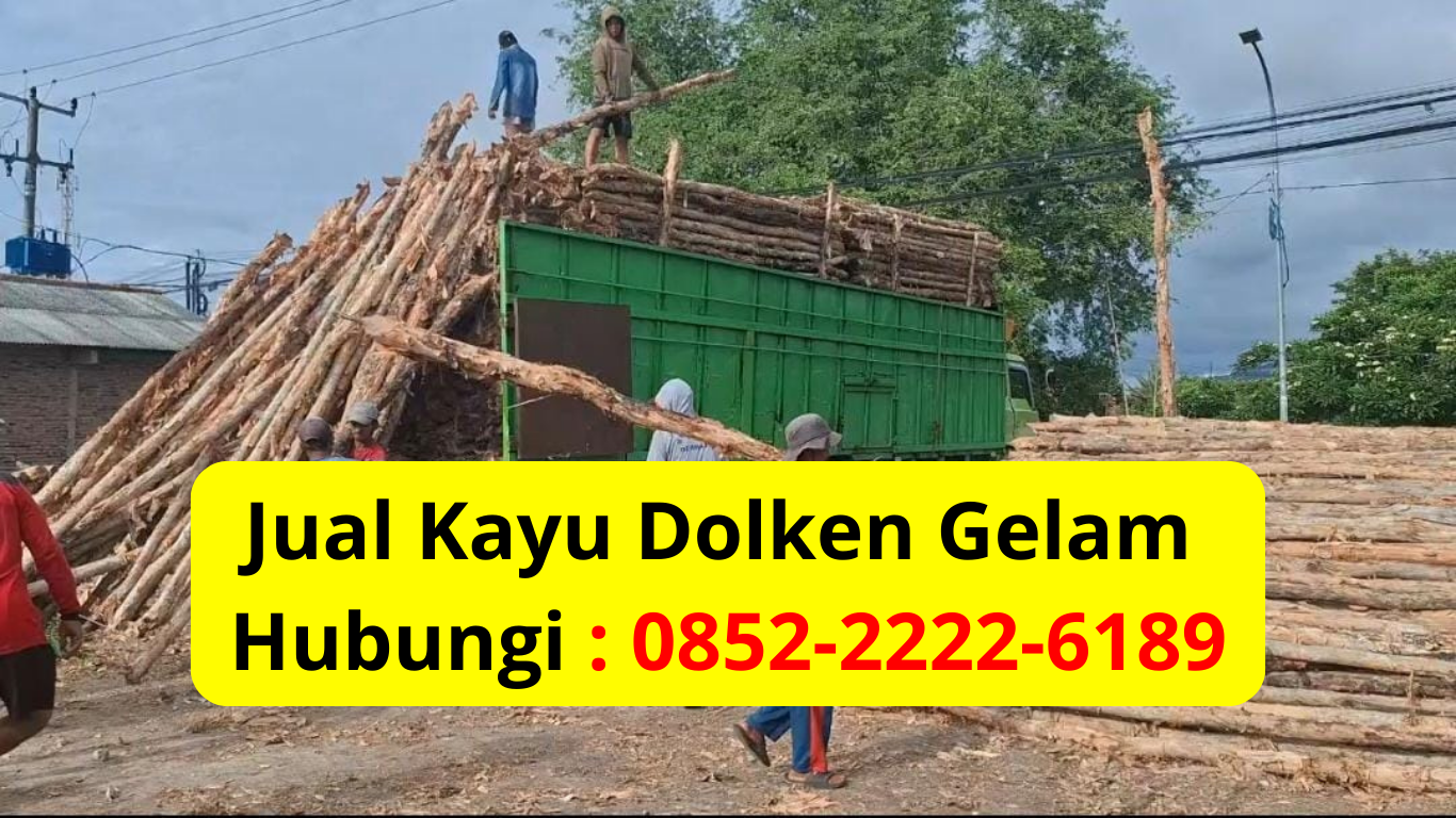Jual Kayu Dolken Gelam Murah Pandeglang Supplier & Distributor Terpercaya untuk Kebutuhan Proyek Anda