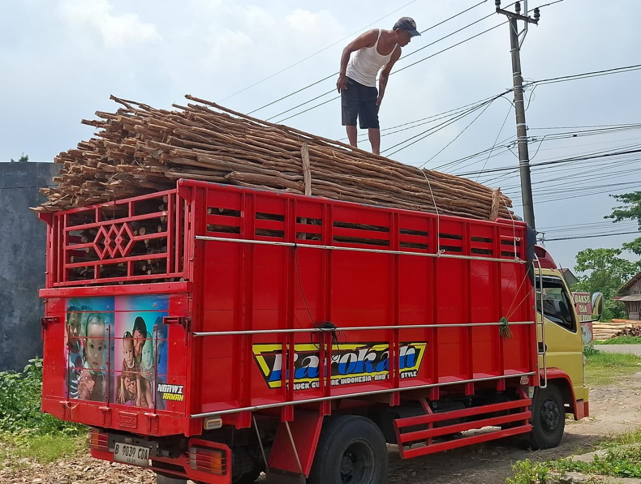Jual Kayu Dolken Gelam Murah Semarang Supplier & Distributor Terpercaya untuk Segala Kebutuhan Proyek