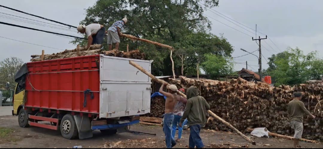 Jual Kayu Dolken Gelam Murah Subang Supplier & Pusat Penjualan Terlengkap untuk Konstruksi Kokoh