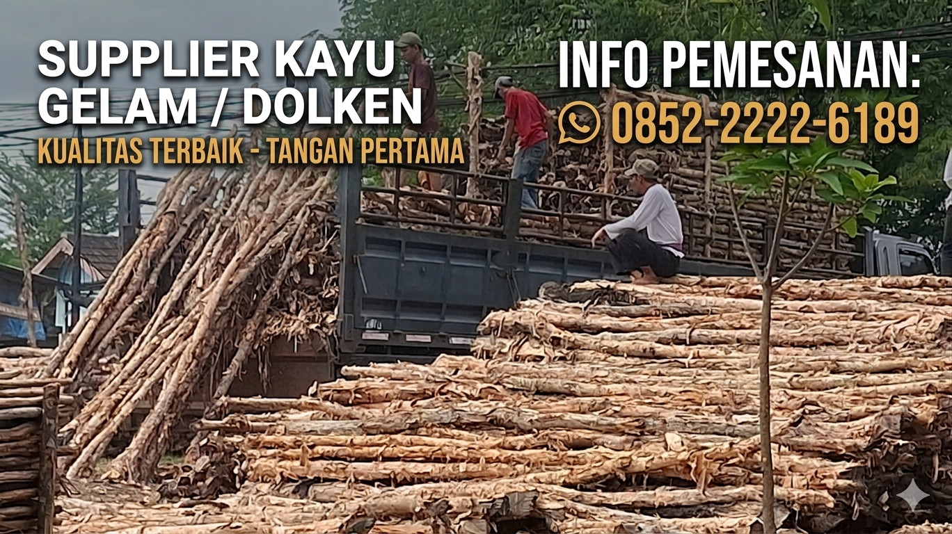 Distributor Kayu Dolken Gelam Pekalongan Murah Siap Suplai Proyek Besar – Hubungi 0852-2222-6189