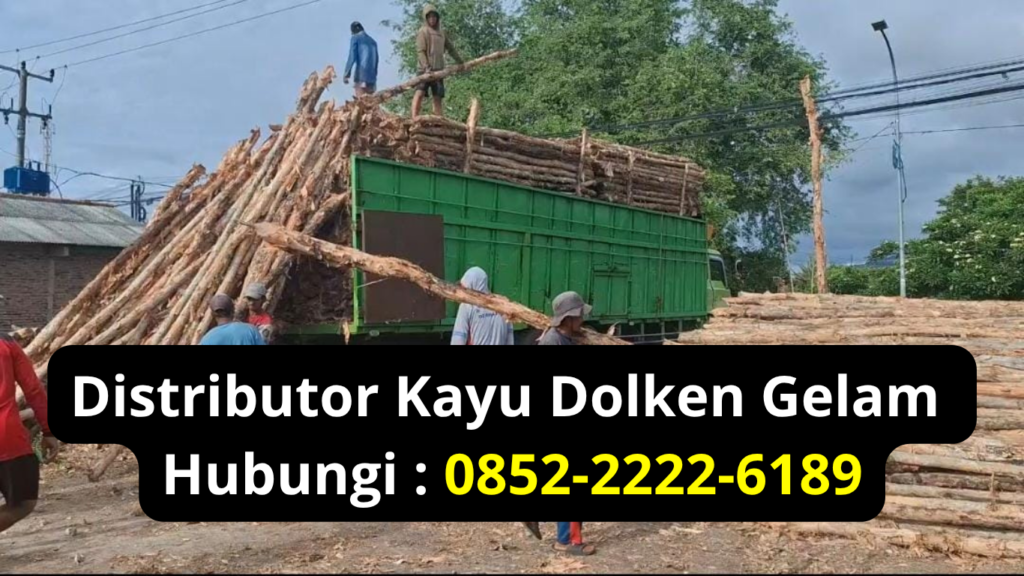 Distributor Kayu Gelam Murah Majalengka Untuk Steger Konstruksi