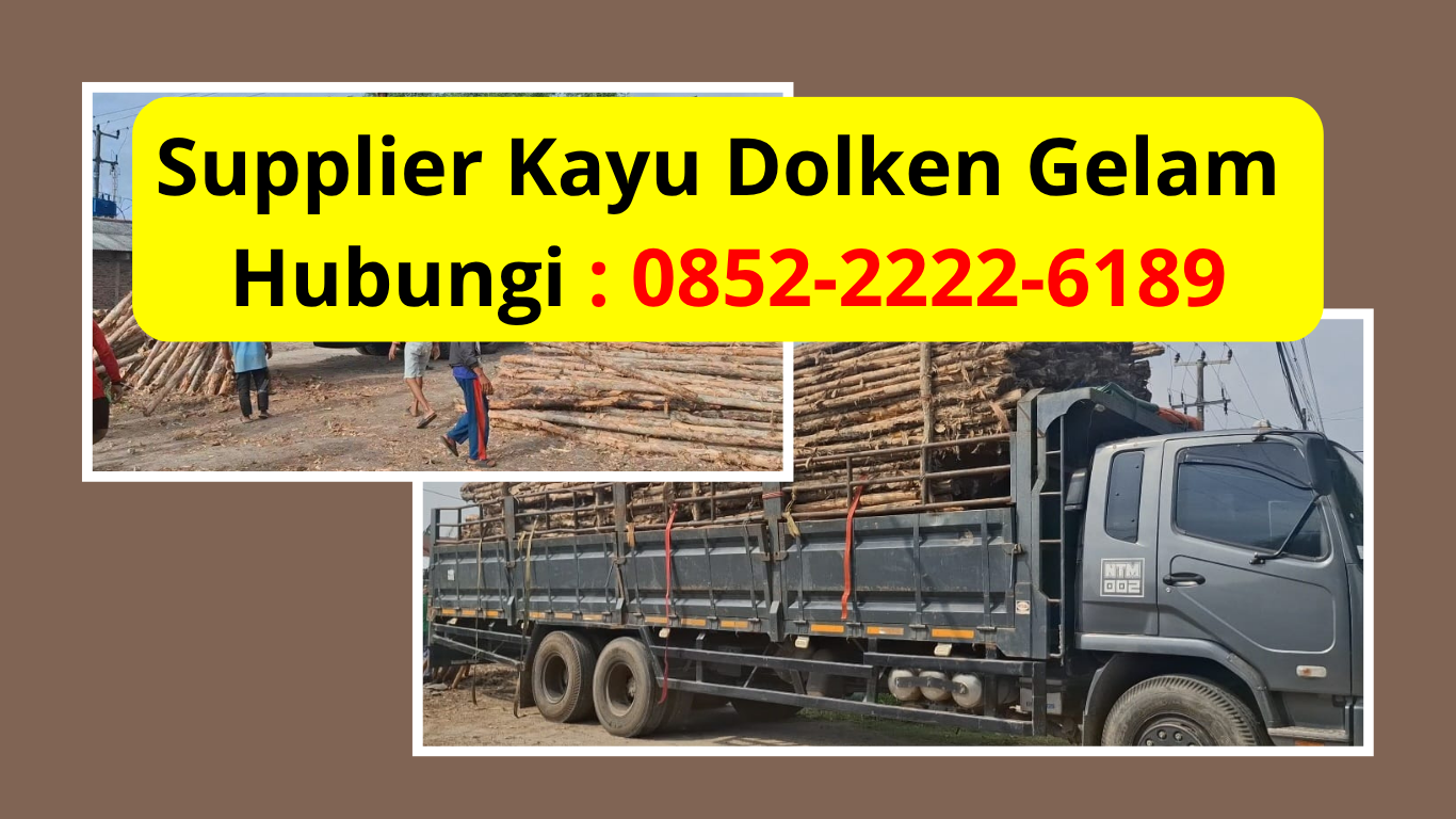 Jual Kayu Dolken Gelam Ciamis Murah Untuk Cerucuk Dan Pondasi Rumah