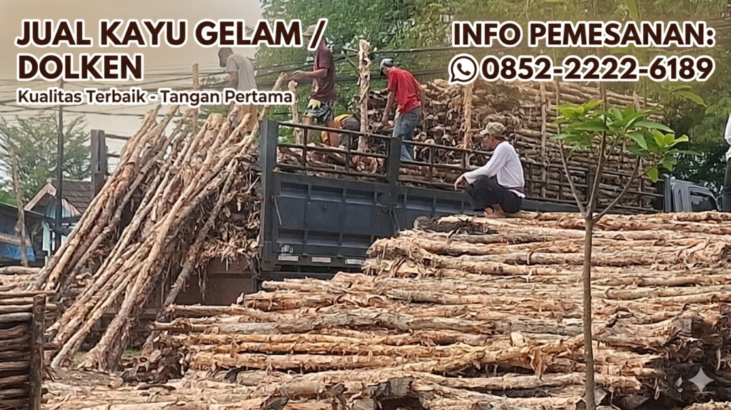 Jual Kayu Dolken Gelam Cilacap Murah Berbagai Ukuran Stok Melimpah – Hubungi 0852-2222-6189