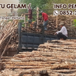 Jual Kayu Dolken Gelam Cilacap Murah Berbagai Ukuran Stok Melimpah – Hubungi 0852-2222-6189