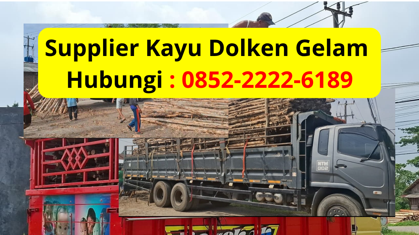 Jual Kayu Dolken Gelam Per Batang Purwakarta Terlengkap