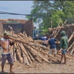 Supplier Kayu Dolken Gelam Bogor Murah – Hubungi 0852-2222-6189