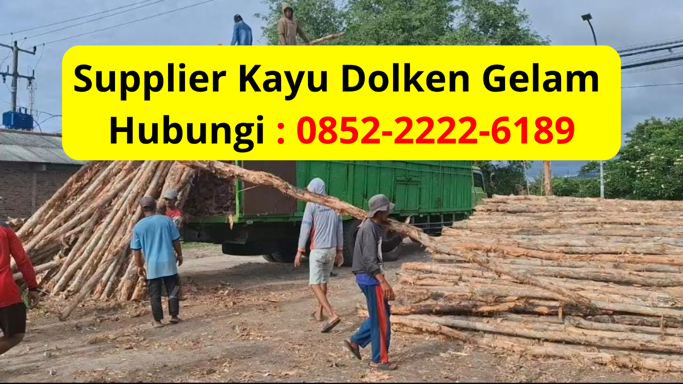 Supplier Kayu Dolken Gelam Jakarta Harga Pabrik Terkini Untuk Proyek