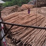 Vendor Kayu Dolken Gelam Cimahi Murah – Hubungi 0852-2222-6189