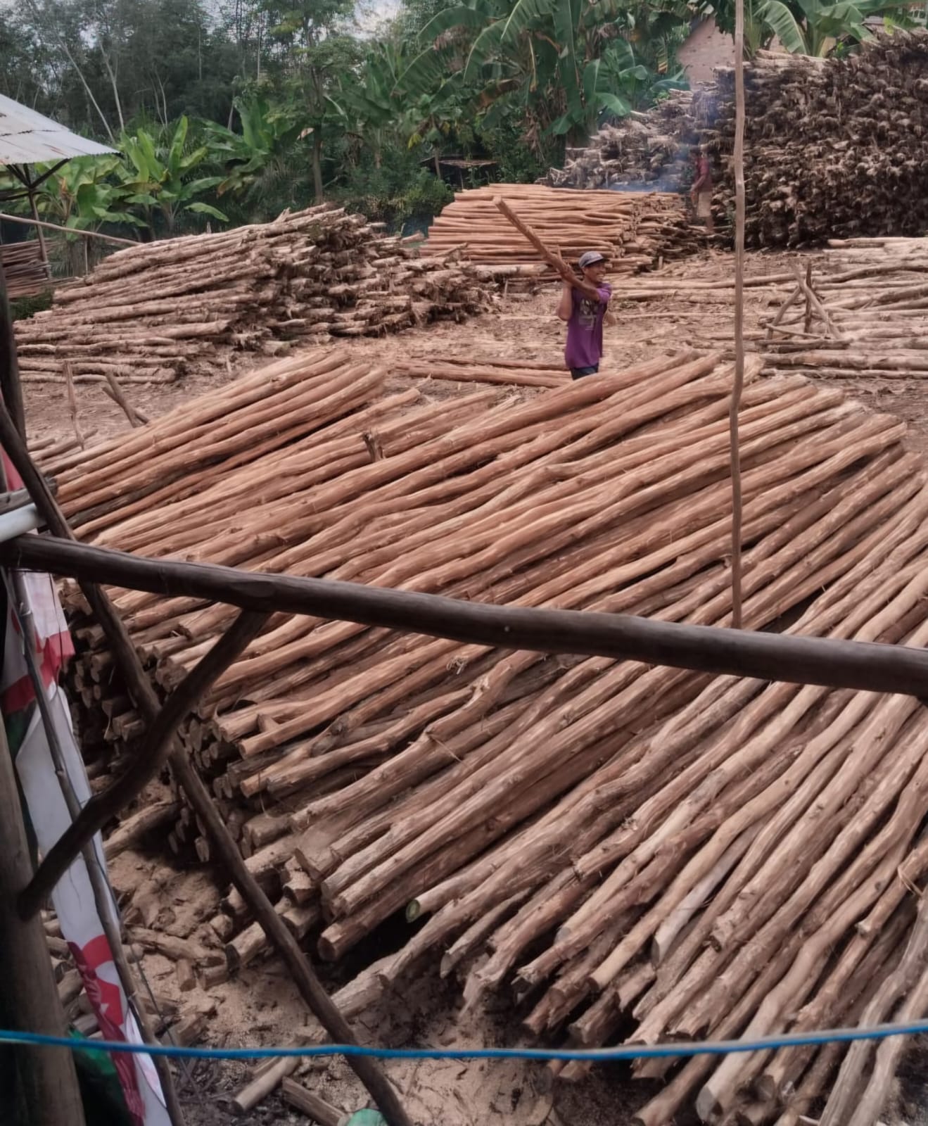 Vendor Kayu Dolken Gelam Cimahi Murah – Hubungi 0852-2222-6189