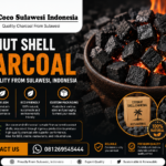 Coconut Shell Charcoal for Shisha